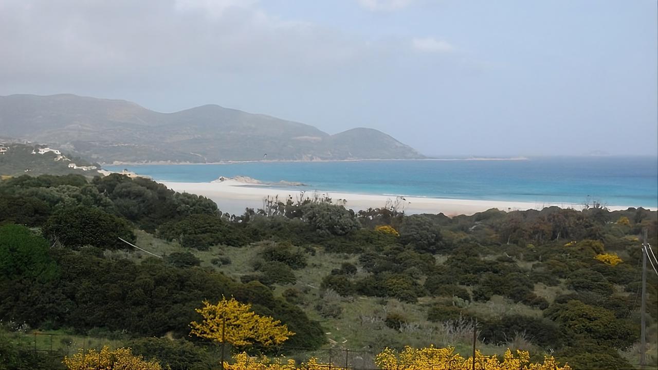 Una mega villa nel paradiso di Cala Giunco: si riaccende la battaglia sulla costa super tutelata