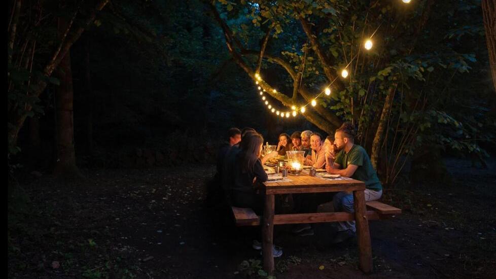 una cena nel parco