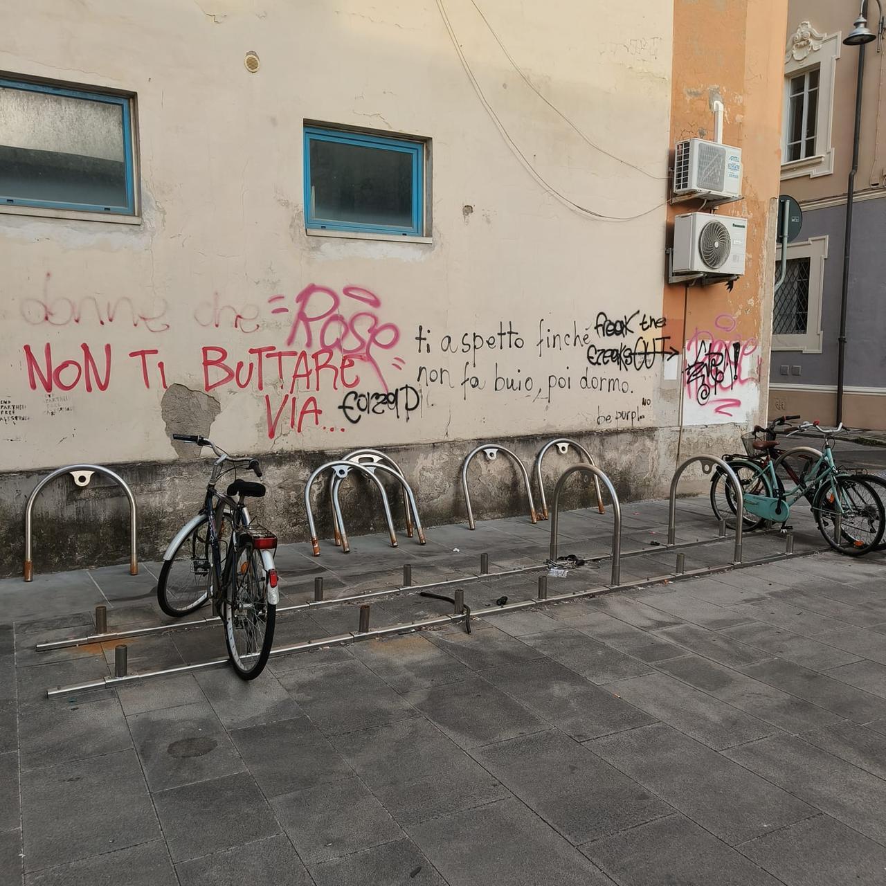 
	La rastrelliera ormai distrutta


