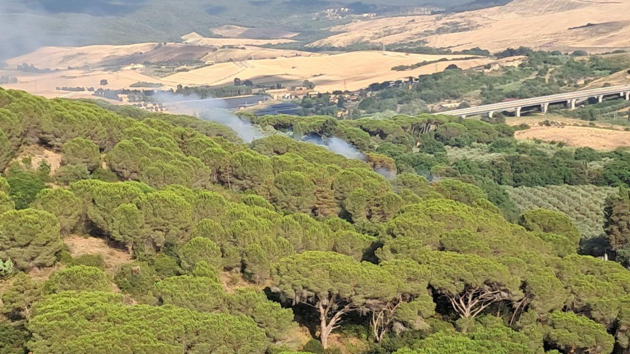 Rosignano, incendio al Saracino: fiamme vicino al Parco dei Poggetti – Cos’è successo