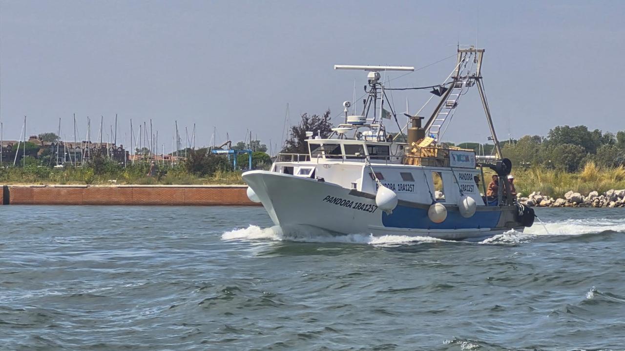 Porto Garibaldi e Goro, caro gasolio e poco pesce: i pescatori non escono