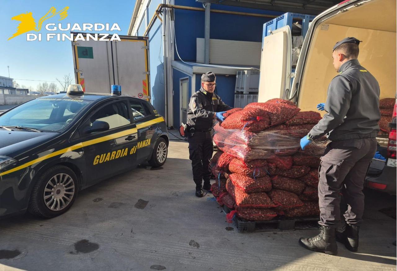 Comacchio, commercio di prodotti alimentari pericolosi: sequestrate 15 tonnellate di vongole