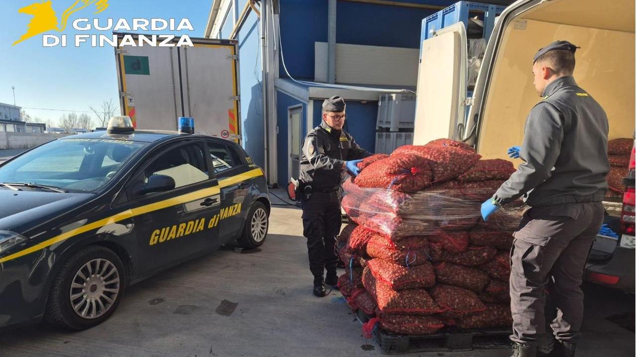 Comacchio, commercio di prodotti alimentari pericolosi: sequestrate 15 tonnellate di vongole