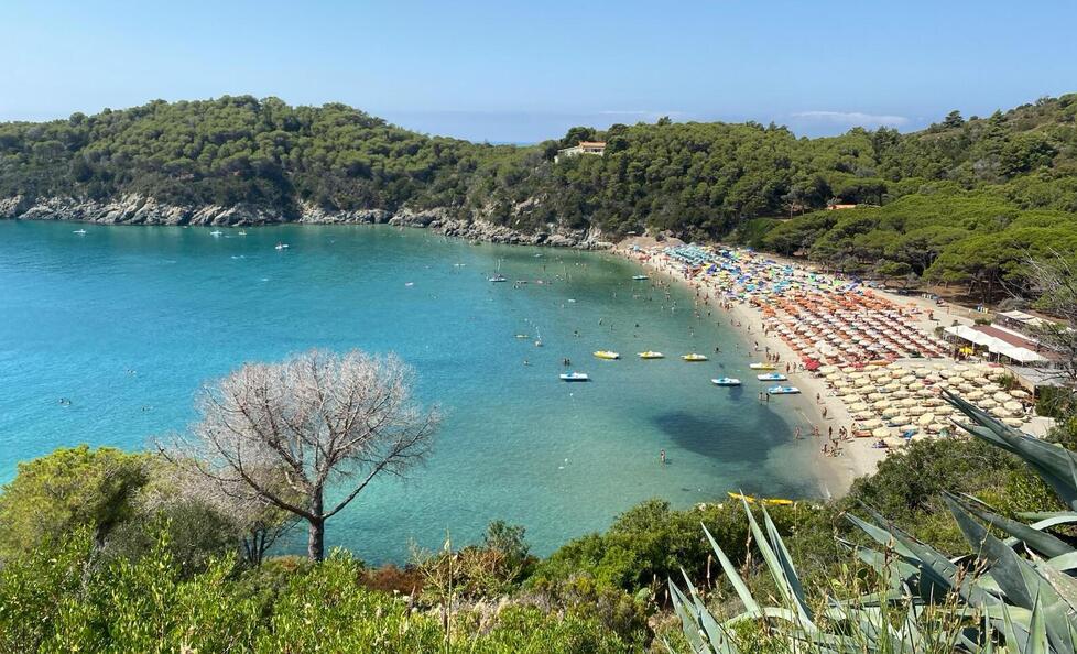 
	La spiaggia di Fetovaia all'Elba

