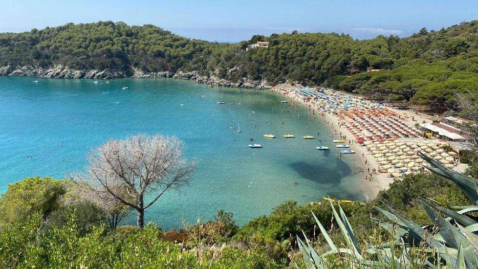 La spiaggia di Fetovaia all'Elba