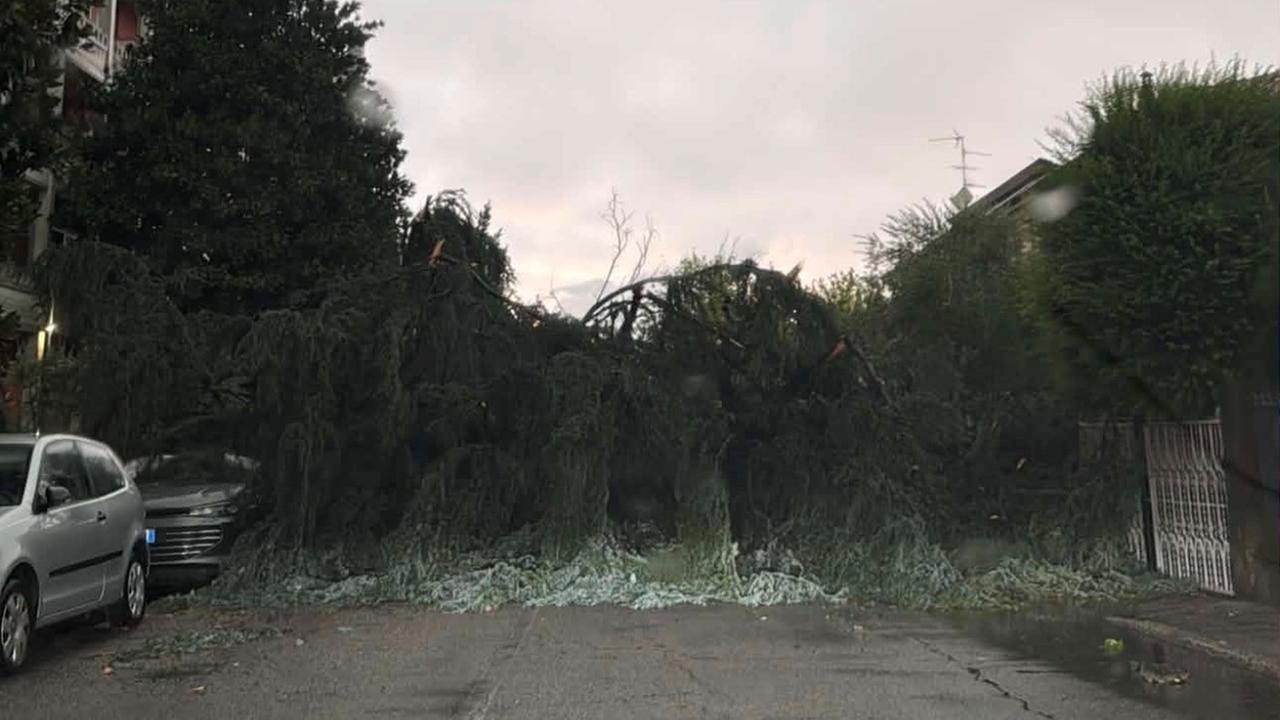 Ferrara, temporali fortissimi e danni: gli aggiornamenti in diretta