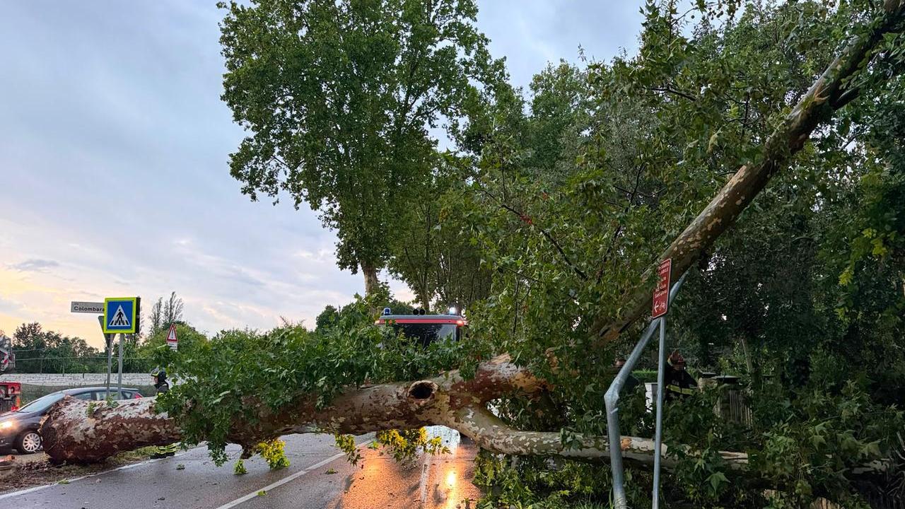 Ferrara, temporali fortissimi e danni: gli aggiornamenti in diretta