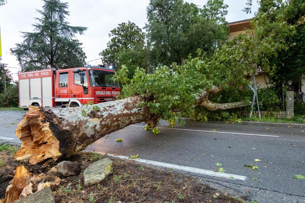 Ferrara e provincia devastate dal maltempo: pioggia forte e raffiche fino a 121 chilometri orari