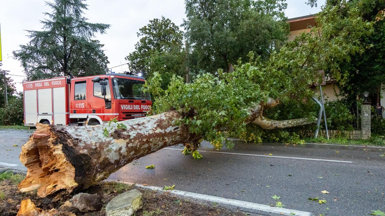 Ferrara e provincia devastate dal maltempo: pioggia forte e raffiche fino a 121 chilometri orari
