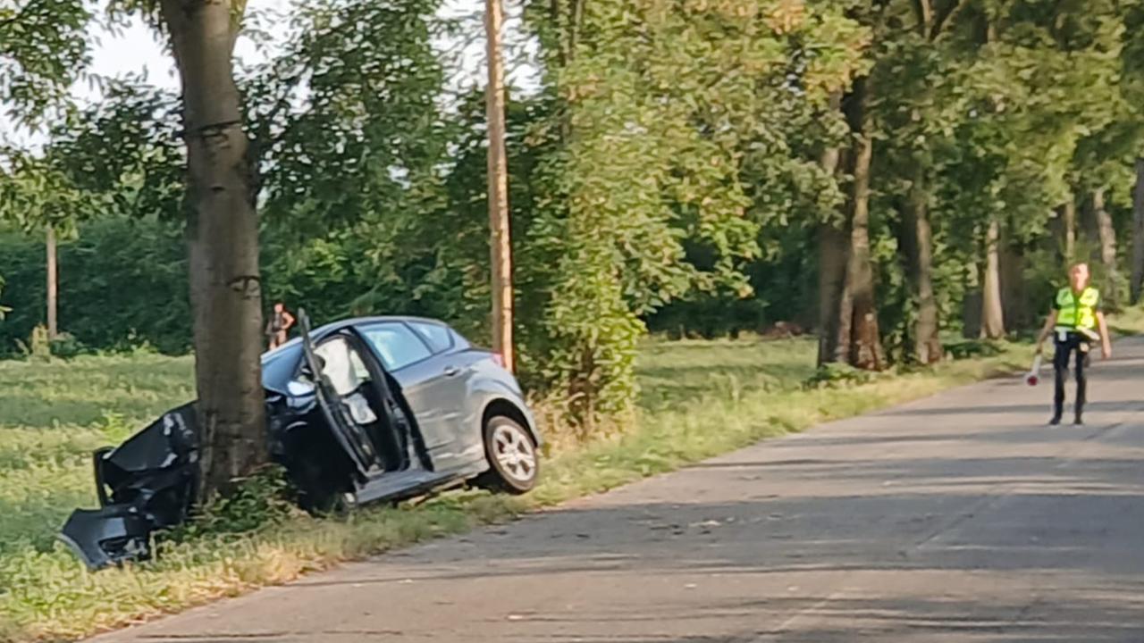 Auto contro un platano, grave un’automobilista di 38 anni