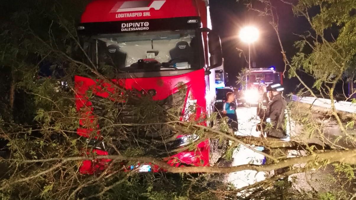 Danni da maltempo nel Medio e Basso Ferrarese, a Comacchio interventi su venti alberi caduti