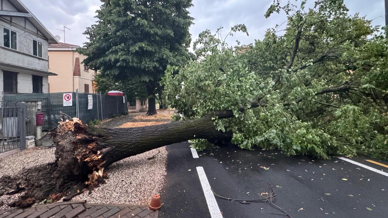 Maltempo nell’Alto Ferrarese, a Cento vietato l’uso dei giardini scolastici