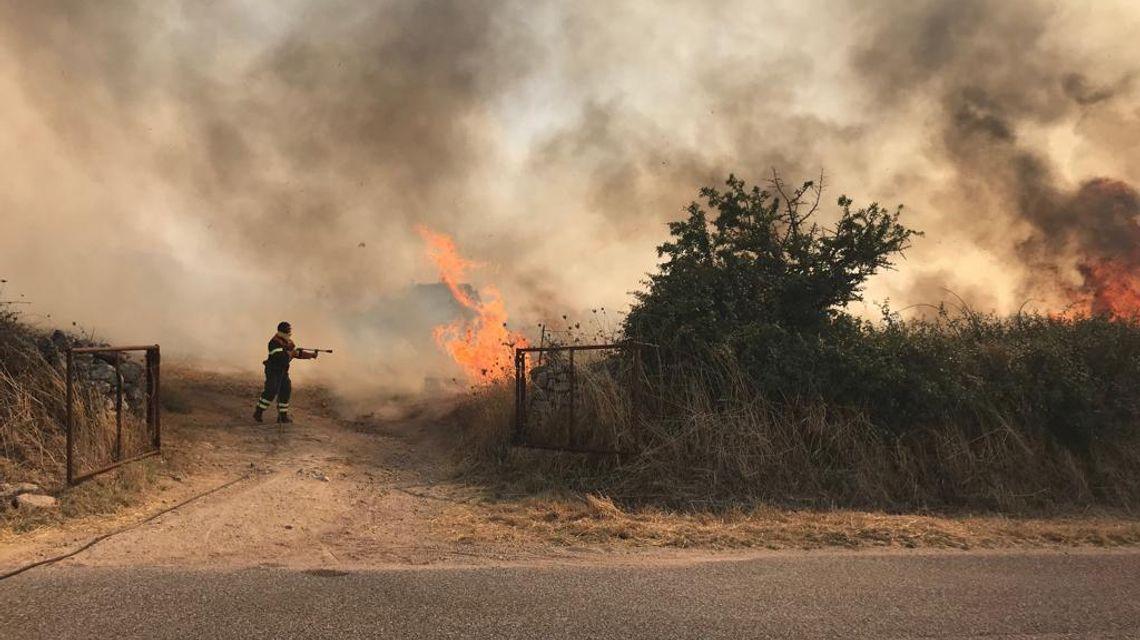 Sardegna in fiamme, la vera emergenza resta la mano dell’uomo. Corpo Forestale: «Incendi quasi sempre dolosi o colposi»