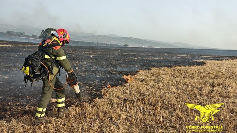 Incendi da nord a sud della Sardegna, decine di mezzi aerei contro le fiamme: emergenza a Noragugume