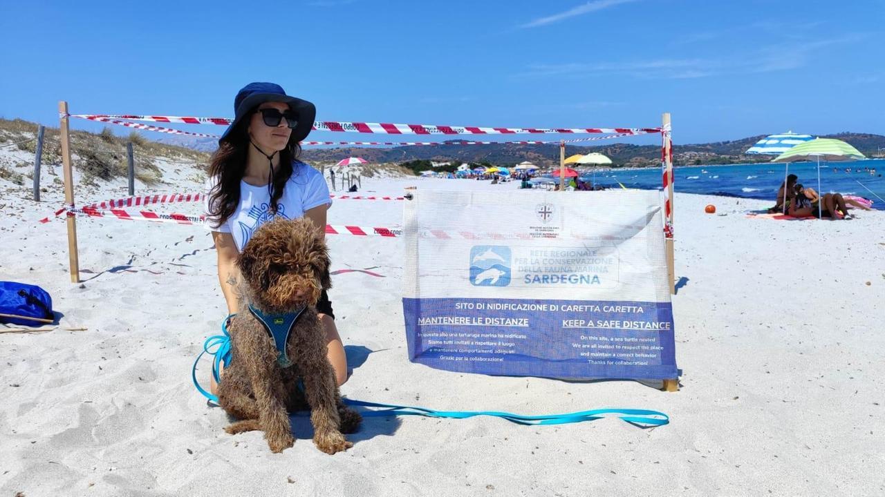 Professione tarta-dog, Kira “a caccia” di uova di Caretta caretta per tutelare la specie – Il progetto