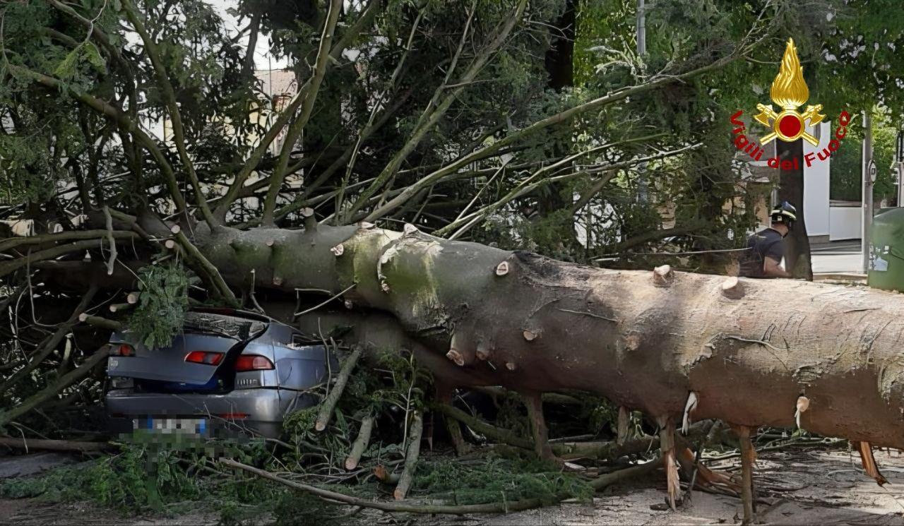 Ancora allerta meteo per i temporali, mentre Reggio e provincia continuano la conta dei danni da maltempo