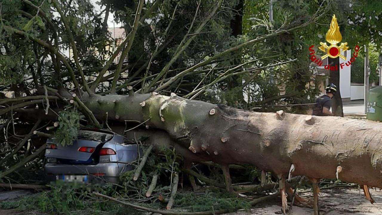Ancora allerta meteo per i temporali, mentre Reggio e provincia continuano la conta dei danni da maltempo