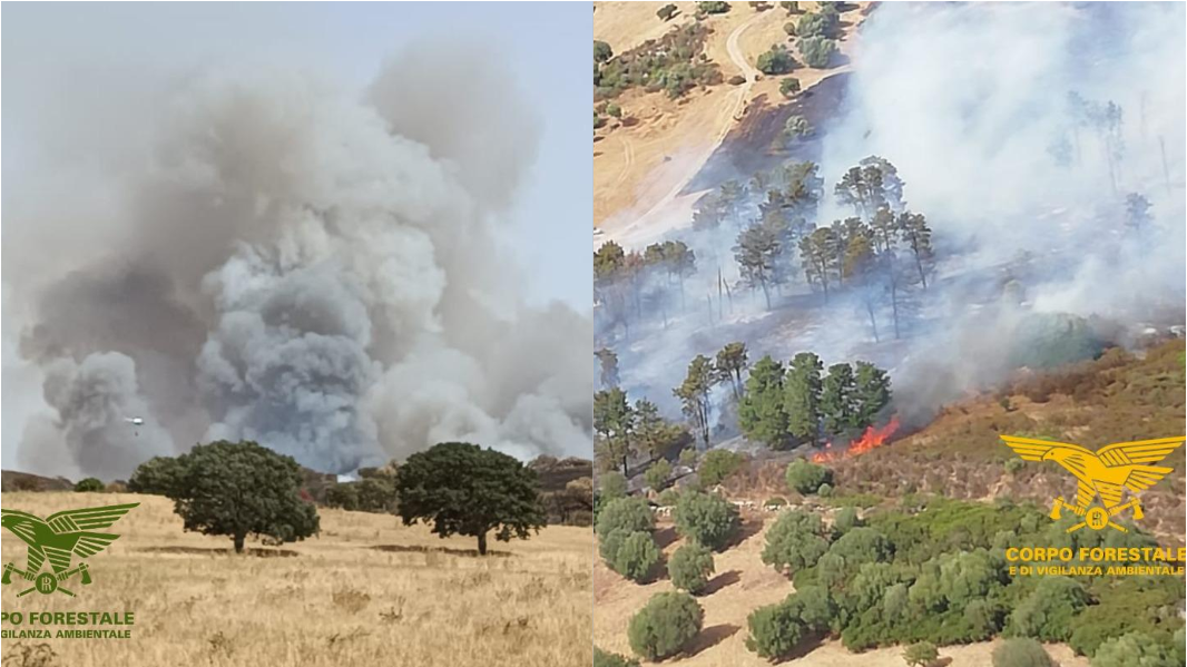 Emergenza incendi, sull’isola un’altra giornata infernale: centinaia di ettari in fumo, in volo anche i Canadair – VIDEO