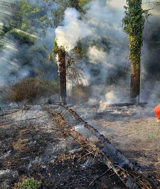 Viareggio, incendio vicino a Villa Borbone: origine dolosa<br>
