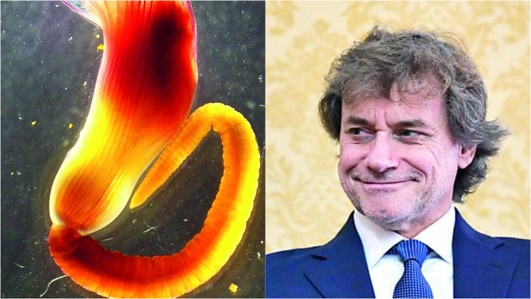 Nei fondali della Sardegna c’è un nuovo inquilino: il nome è dedicato ad Alberto Angela – Ecco qual è