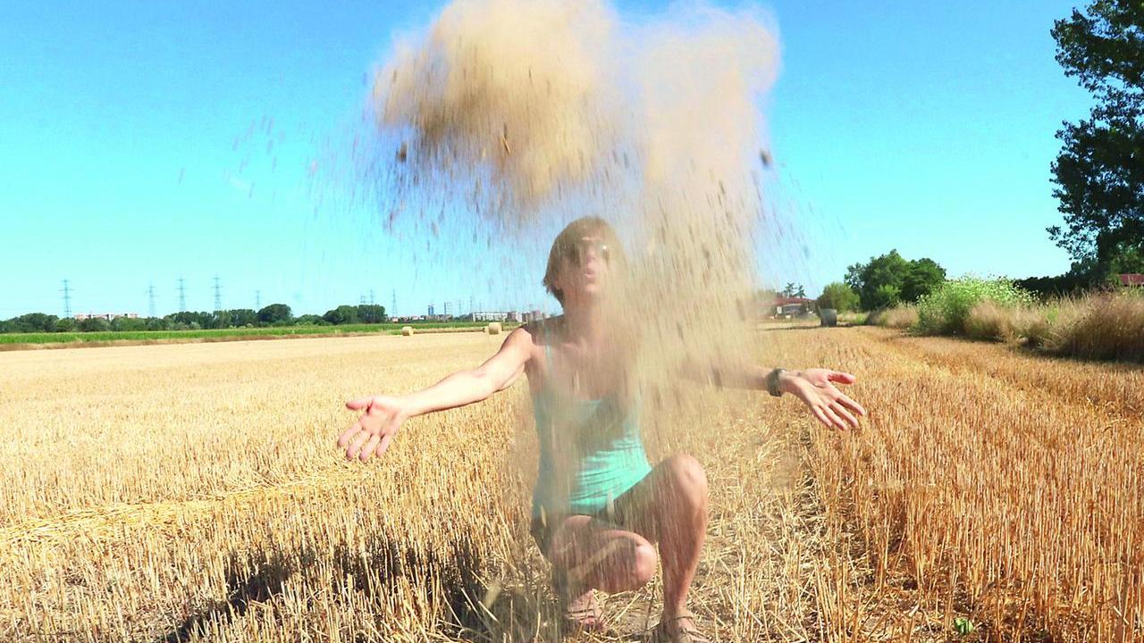 Caldo e degrado, ora la Sardegna rischia di diventare un deserto – L’intervista