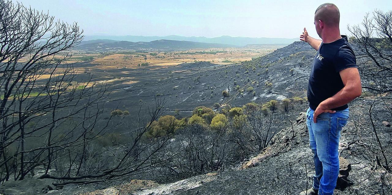 Noragugume devastata dalle fiamme, oltre 1000 ettari in fumo. Gli allevatori: «Siamo in ginocchio» – Le immagini del disastro