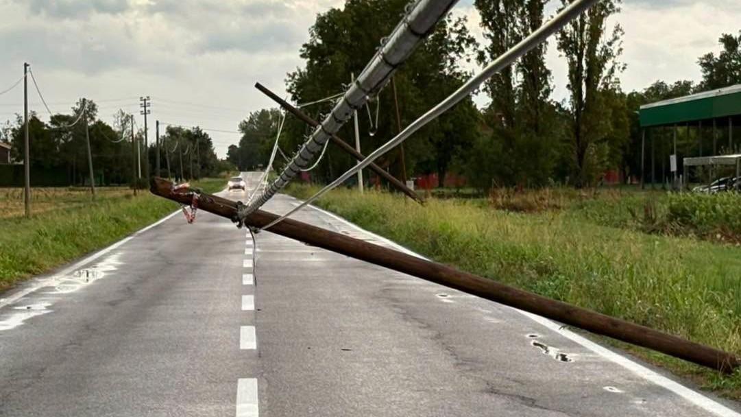 Maltempo ad Argenta, pioggia e vento e diversi alberi caduti: danni alla piscina di via Magrini