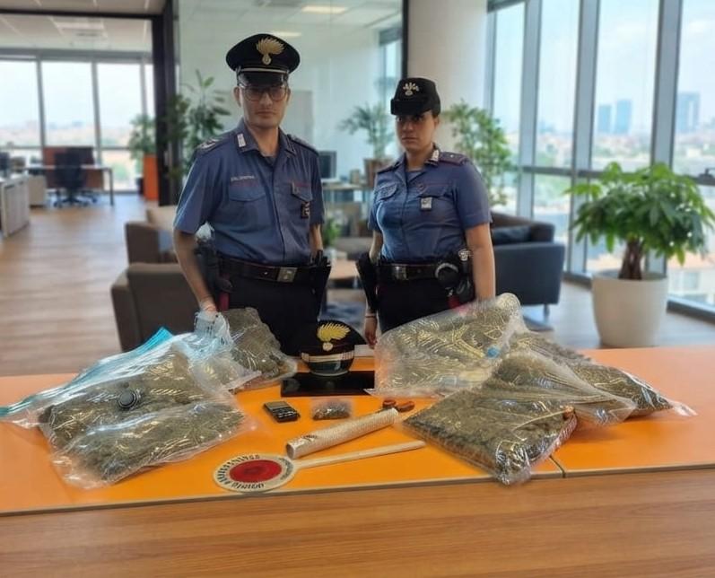 Quasi quattro chili di marijuana nascosti in casa: arrestato un 47enne a Cadelbosco Sopra