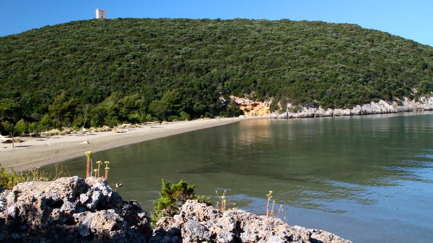 Cala di Forno (foto d'archivio)