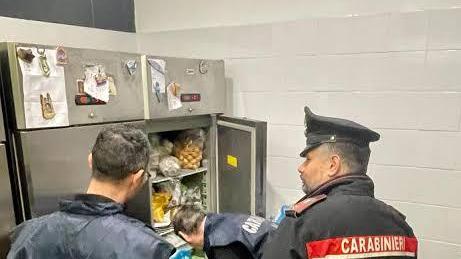 Lucca, peculato e truffa: medico imputato - Spariti farmaci e apparecchi sanitari<br>