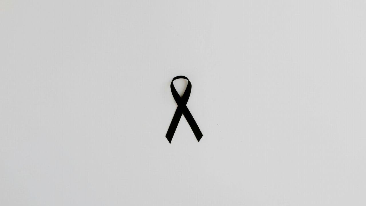 
	(foto repertorio)

