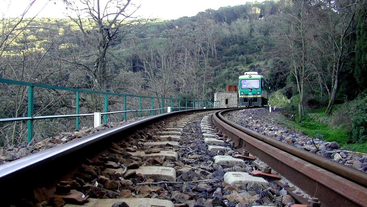 (foto di <em>Massimo Locci</em>)