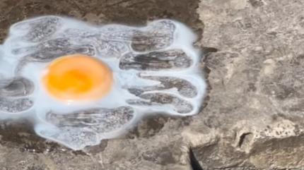 L’uovo, 50 gradi e la “nuova” piastra a induzione: lo chef frigge sul muretto della piazza – IL VIDEO