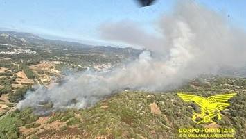 Nuovo incendio in Gallura: quattro elicotteri per domare le fiamme
