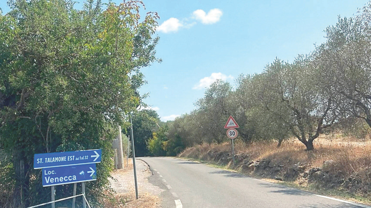 Grosseto, scava la fossa per il cavallo ancora vivo: i forestali lo bloccano – Indagini in corso