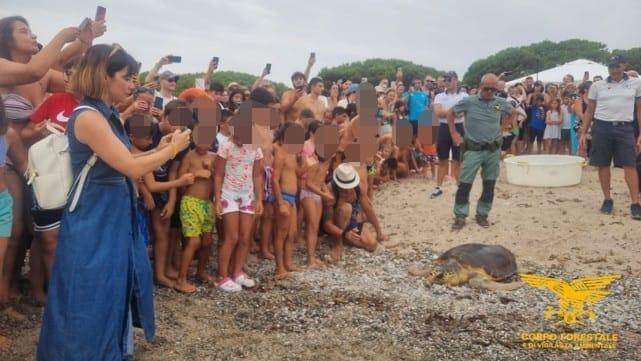 Salvata dai cavi del porto e rimessa in mare: la tartaruga torna libera dopo mesi di cure
