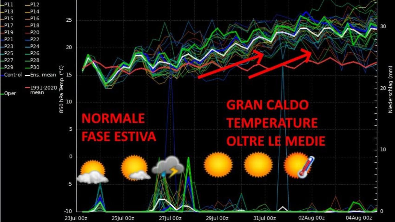 Il grafico e la rielaborazione del Cmt 