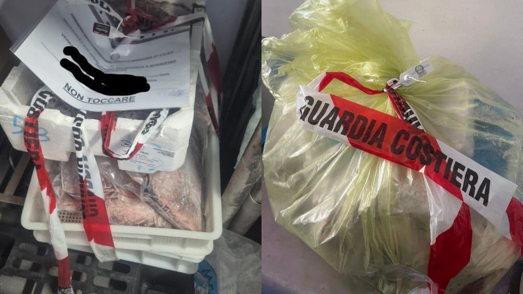 Pesce senza tracciabilità in ristoranti e pescherie, sequestri e multe per migliaia di euro