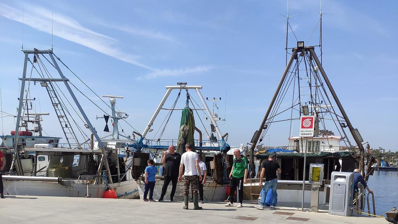Porto Garibaldi e Goro, i pescherecci devono tornare in mare: 10 milioni di euro