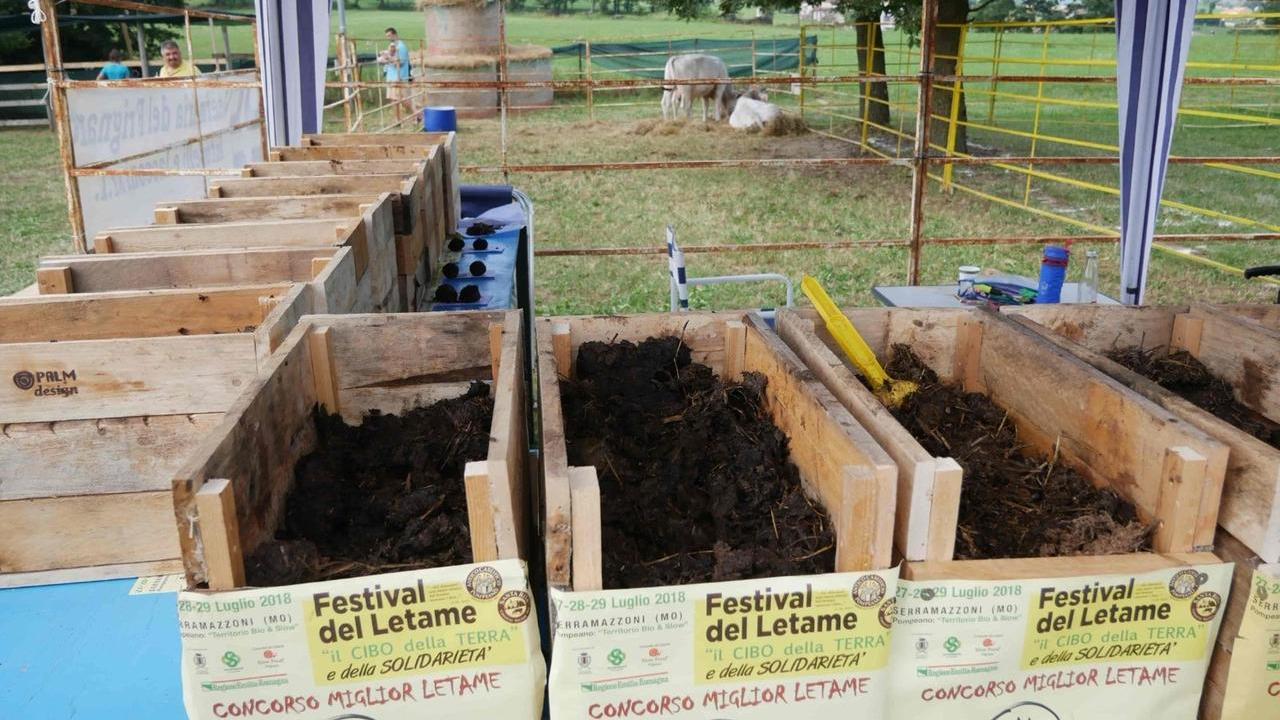 Il concorso per il miglior letame a Serramazzoni