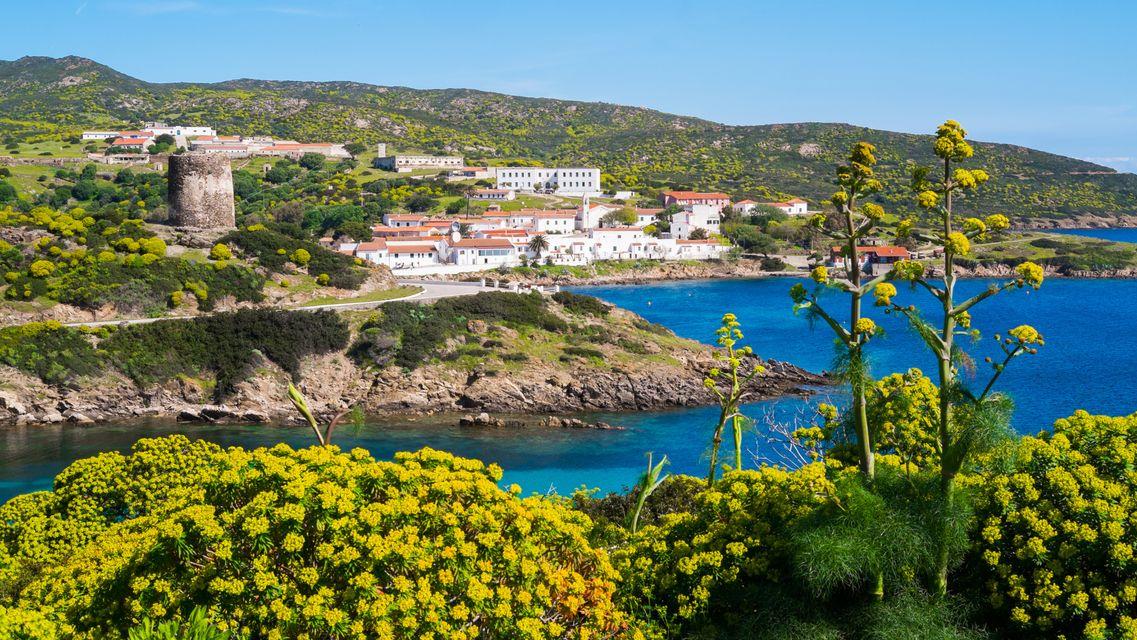 Nomina del direttore del Parco dell’Asinara, respinto il ricorso di un candidato: cosa è successo