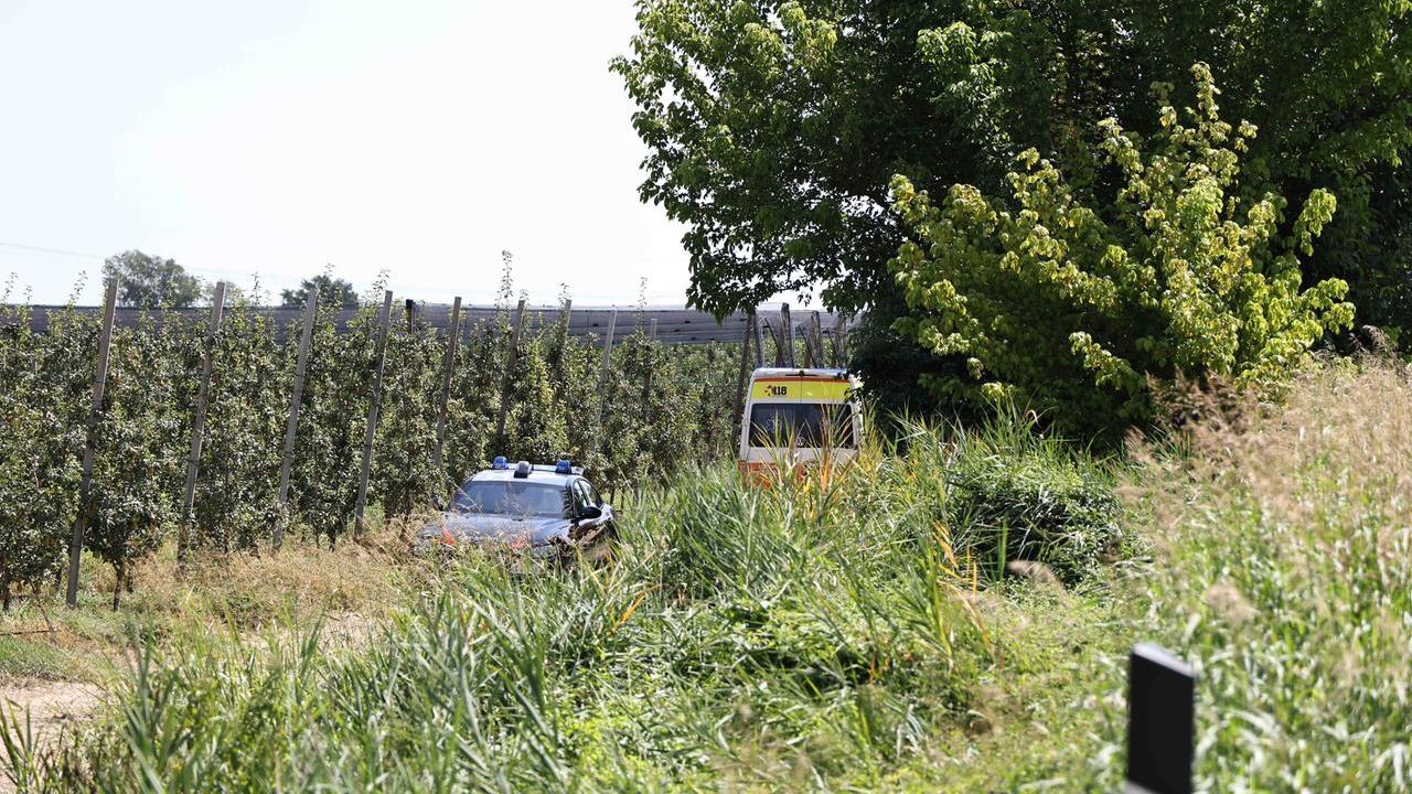 Auto “sparisce” fuori dalla Super Ferrara-mare, ricerche con gli elicotteri: trovata più tardi in un canneto