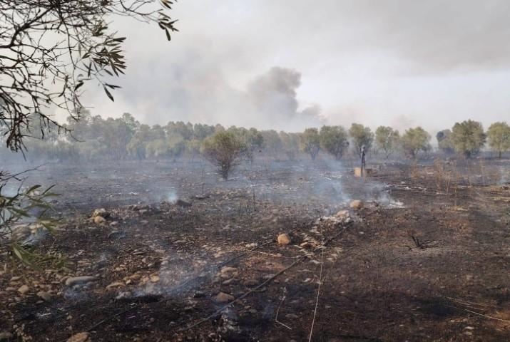 Stava appiccando un incendio: fermato e sanzionato – Che cosa sappiamo