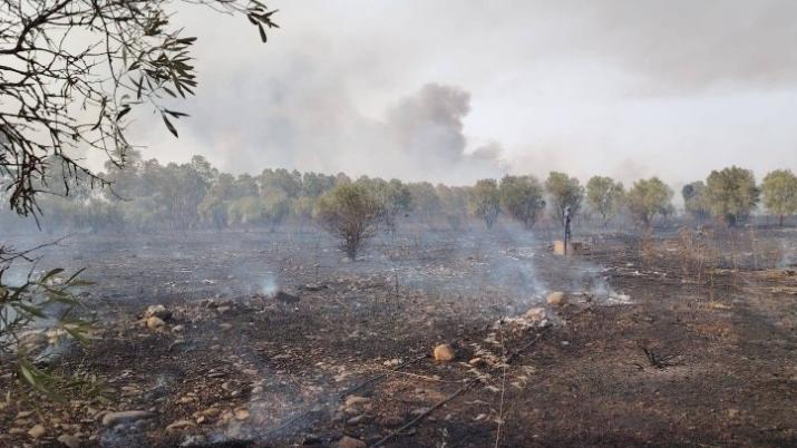 Stava appiccando un incendio: fermato e sanzionato – Che cosa sappiamo