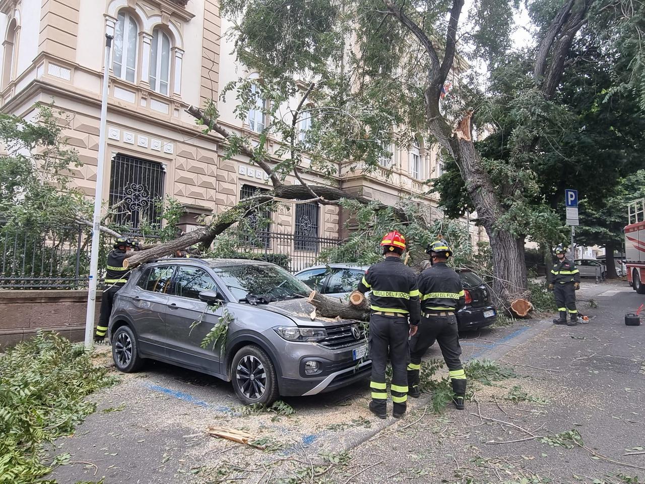 Albero crollato, vigili del fuoco al lavoro a Sassari - foto di Mauro Chessa
