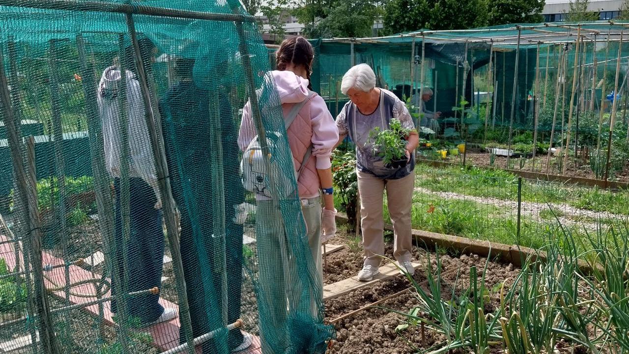 Le ragazze con anoressia agli orti degli anziani