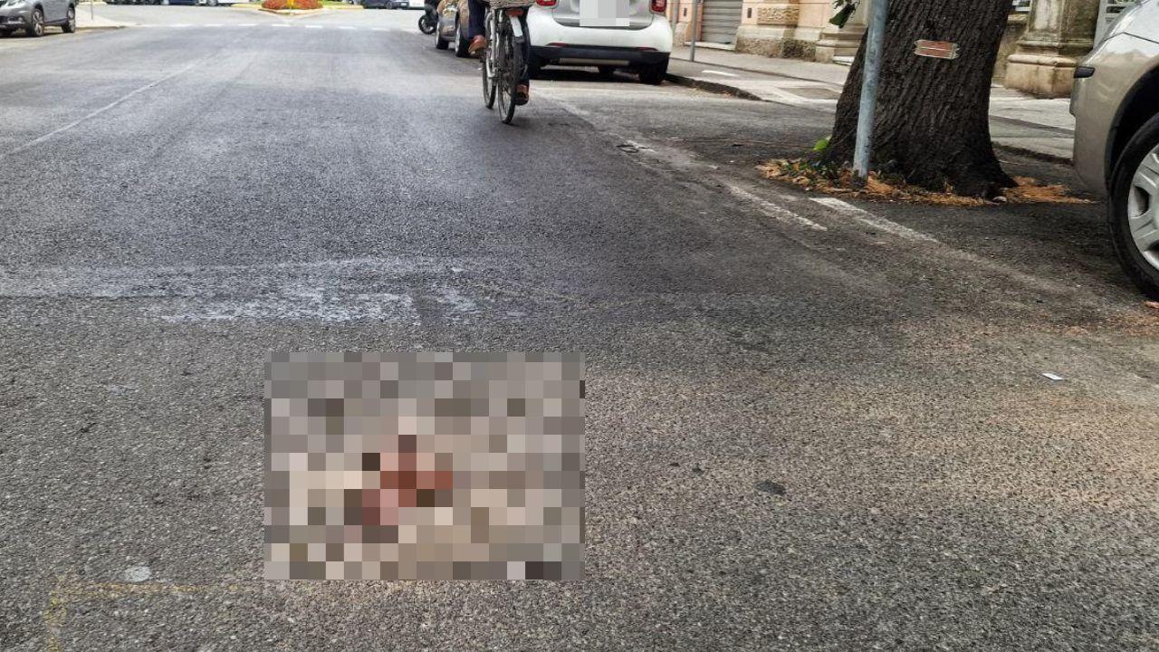 Il punto in cui il 47enne è caduto dal monopattino a Lavagna (Genova)