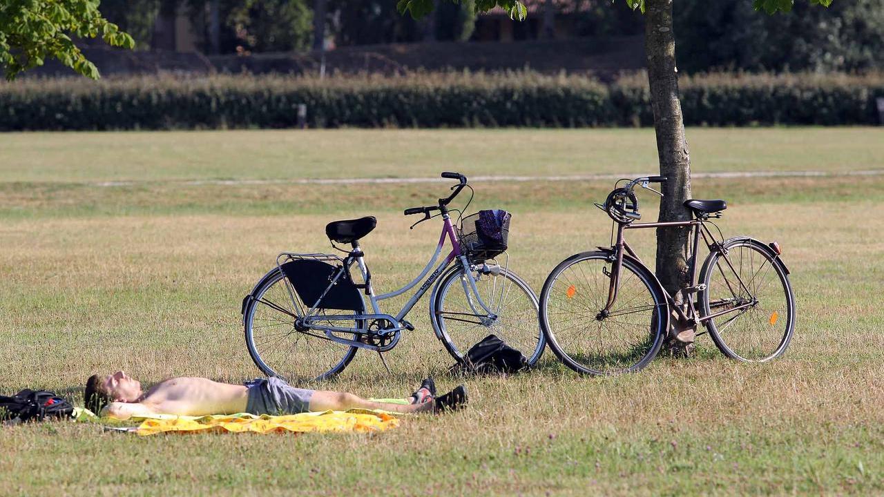 Ferrara, nuova ondata di calore in arrivo: tornano anche le notti tropicali