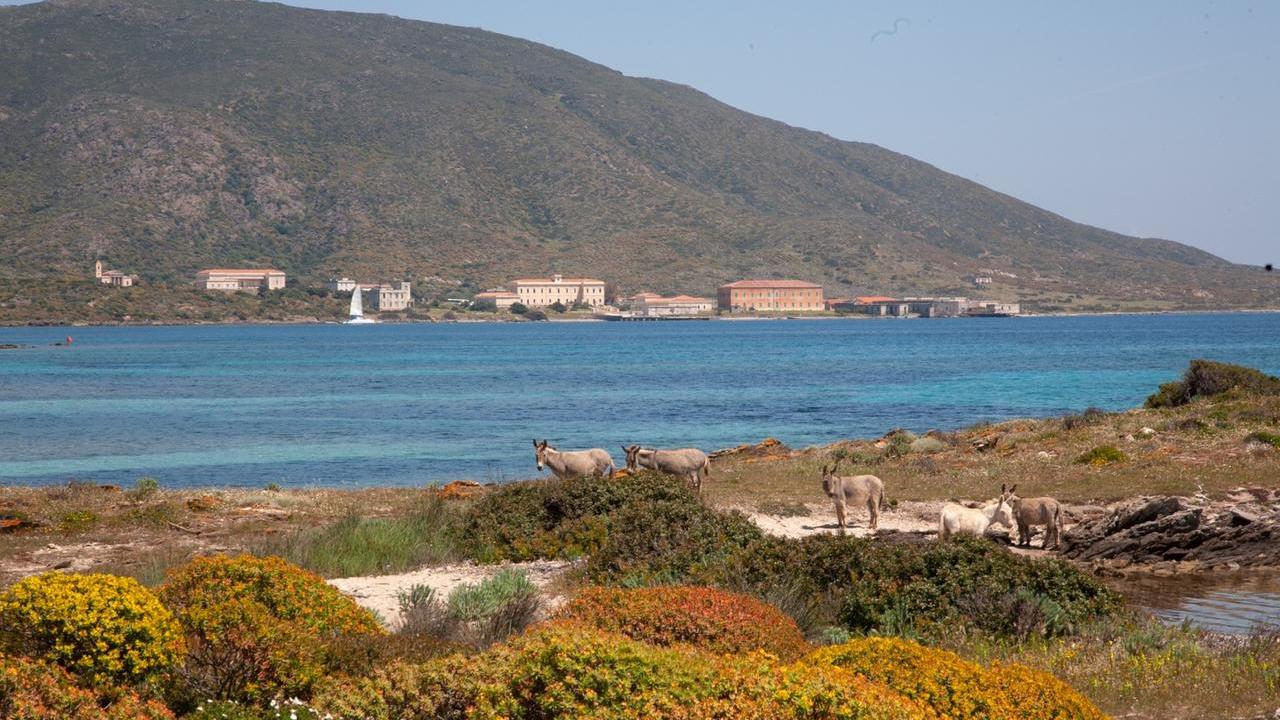 Il mare dell'Asinara