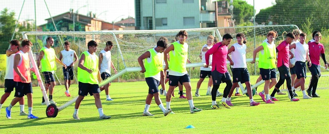 La Comacchiese riparte da mister Masolini
